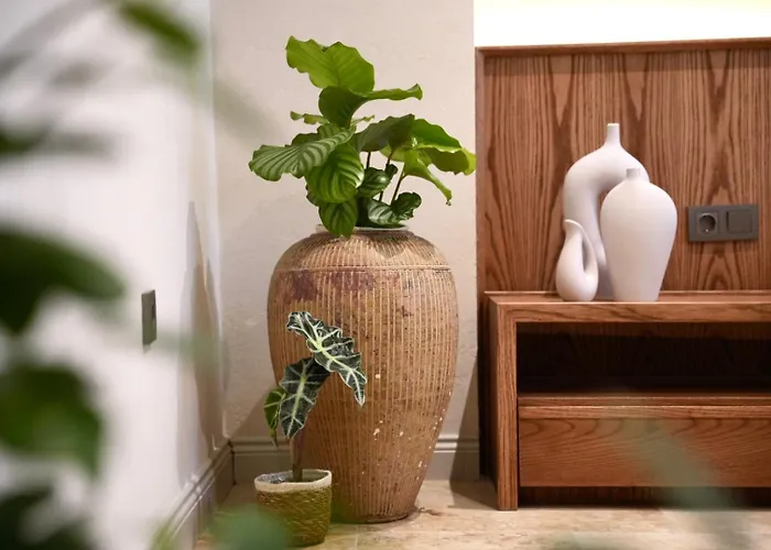 Khalkedon Κωνσταντινούπολη